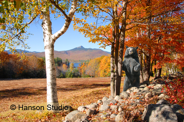 Mt. Chocorua, NH - and Bear - Fall